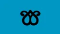 Most recent flag or coat of arms of Kara Koyunlu