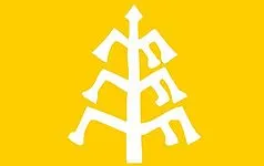 Most recent flag or coat of arms of western kara-khanid khanate