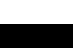 Most recent flag or coat of arms of Republic of Siena