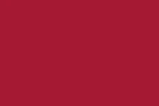 Most recent flag or coat of arms of Ayutthaya Kingdom (Burma)