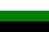Most recent flag or coat of arms of Tungus Republic