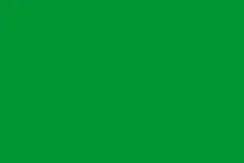 Most recent flag or coat of arms of Zirid Dynasty