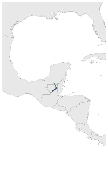 Calakmul: Maximal extension of the polity
