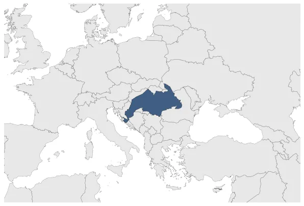 Eastern Hungarian Kingdom: Maximal extension of the polity