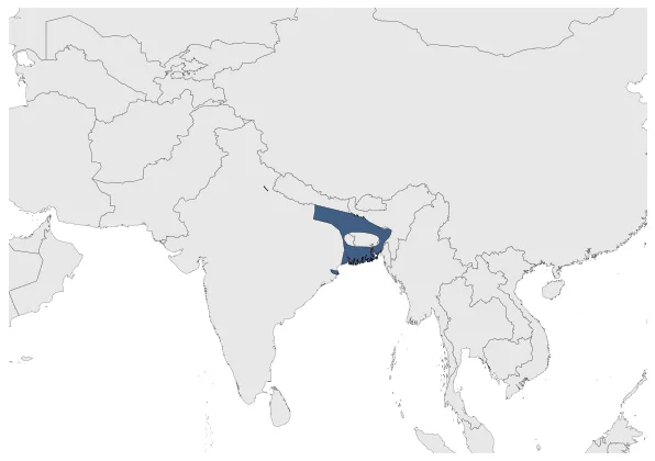 Kanva Dynasty: Maximal extension of the polity