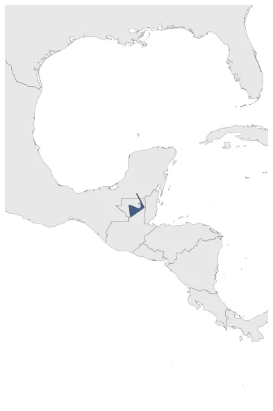Tikal: Maximal extension of the polity