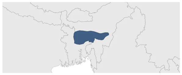 Maximum Extent